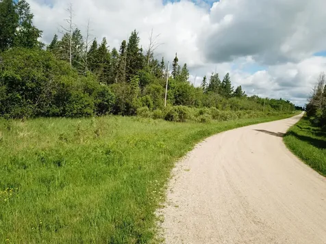 TBD1 Mud Lake Road Bagley MN 56621