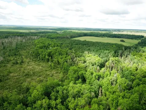 TBD1 Mud Lake Road Bagley MN 56621