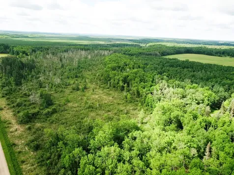 TBD1 Mud Lake Road Bagley MN 56621