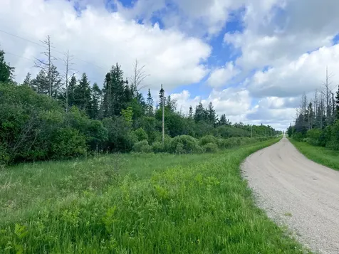 TBD1 Mud Lake Road Bagley MN 56621