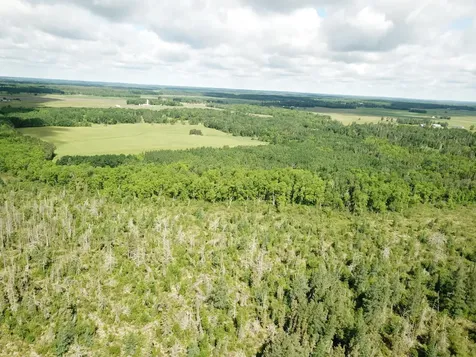 TBD1 Mud Lake Road Bagley MN 56621