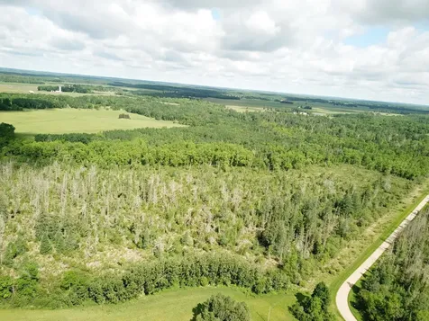 TBD1 Mud Lake Road Bagley MN 56621