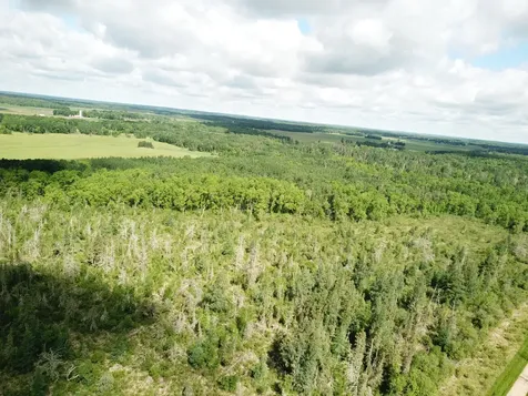 TBD1 Mud Lake Road Bagley MN 56621