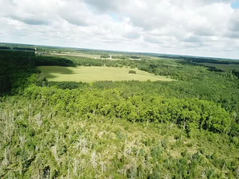 TBD1 Mud Lake Road Bagley MN 56621