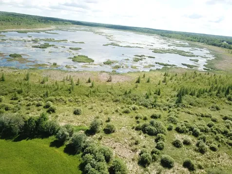 Tbd Mud Lake Road Bagley MN 56621
