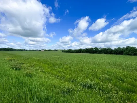 Tbd Mud Lake Road Bagley MN 56621