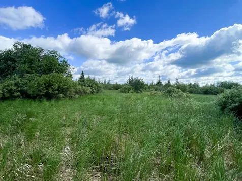 Tbd Mud Lake Road Bagley MN 56621