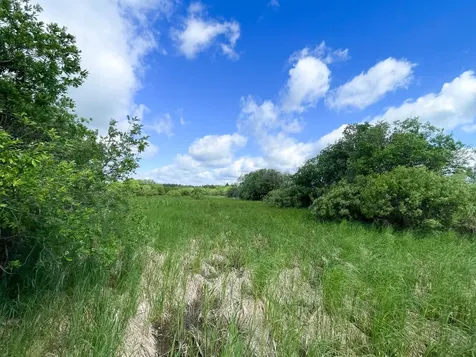 Tbd Mud Lake Road Bagley MN 56621