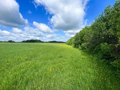 Tbd Mud Lake Road Bagley MN 56621
