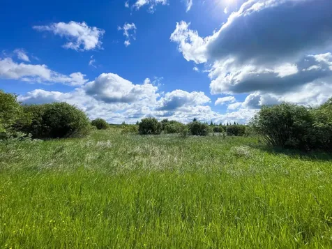 Tbd Mud Lake Road Bagley MN 56621