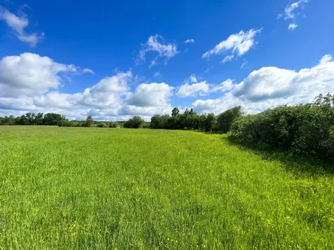 Tbd Mud Lake Road Bagley MN 56621