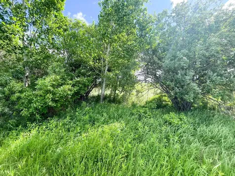 Tbd Mud Lake Road Bagley MN 56621