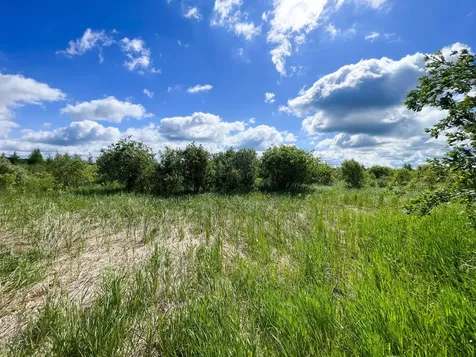 Tbd Mud Lake Road Bagley MN 56621