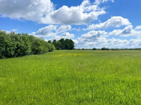 Tbd Mud Lake Road Bagley MN 56621