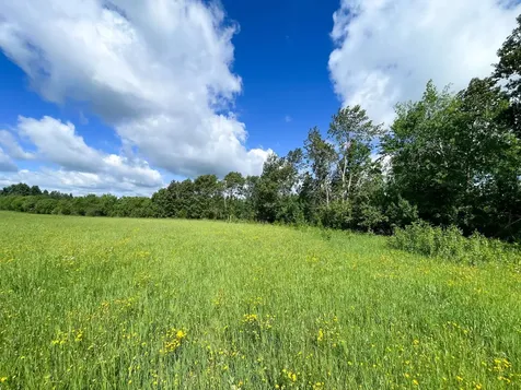 Tbd Mud Lake Road Bagley MN 56621