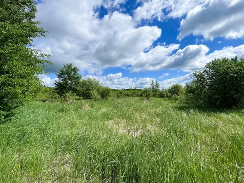 Tbd Mud Lake Road Bagley MN 56621
