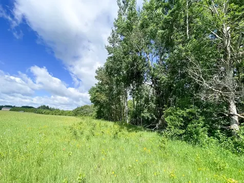 Tbd Mud Lake Road Bagley MN 56621