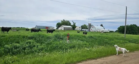 33598 State 28 Burtrum MN 56318