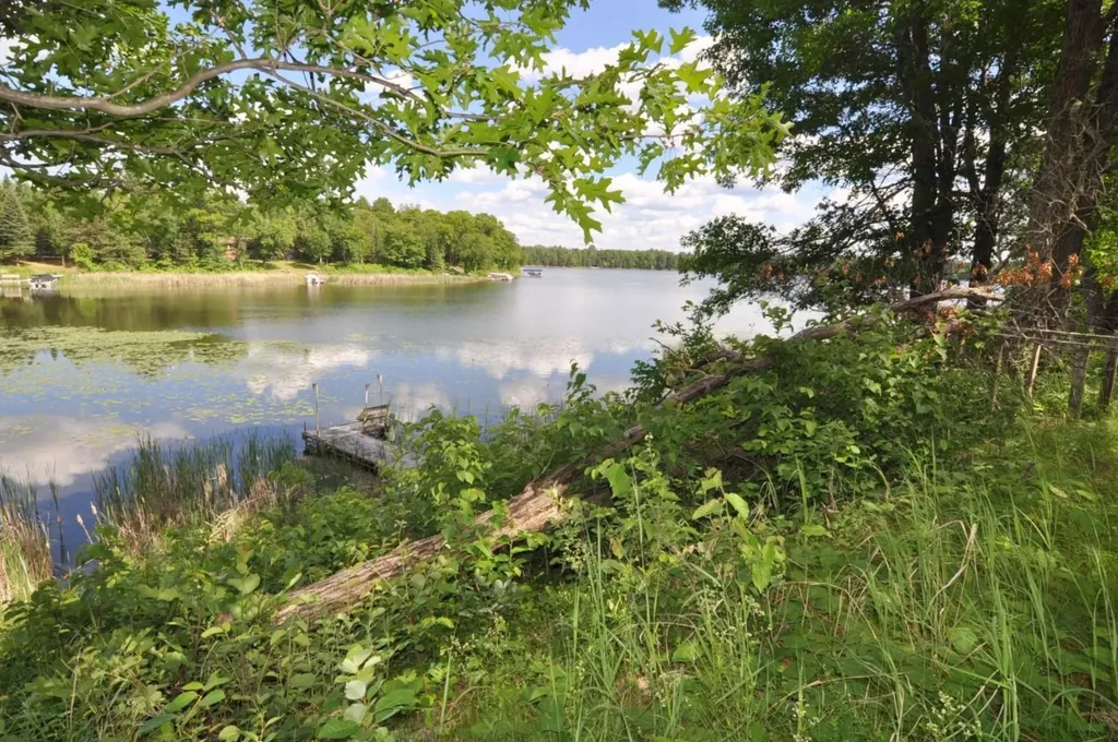 1879 State 87 NW Backus MN 56435