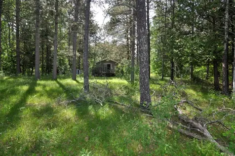 1879 State 87 NW Backus MN 56435