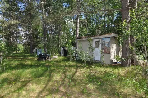 1879 State 87 NW Backus MN 56435