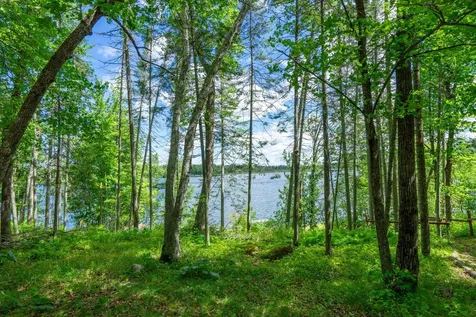 43826 Nature Avenue Palisade MN 56469