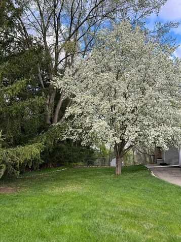 3840 Riverton Avenue Eagan MN 55122
