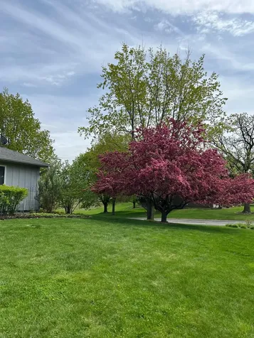 3840 Riverton Avenue Eagan MN 55122