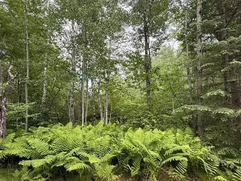 1672 County Road 146 Holyoke MN 55749