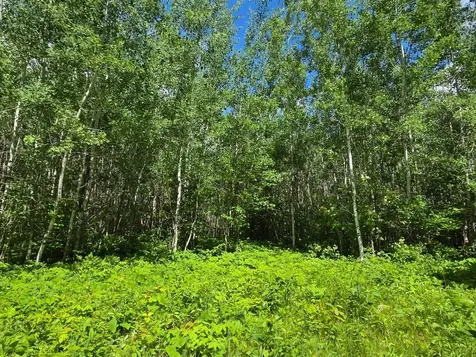 Xxx Mt Nelson Road Mahtowa MN 55707