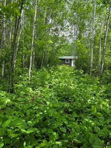Xxx Mt Nelson Road Mahtowa MN 55707