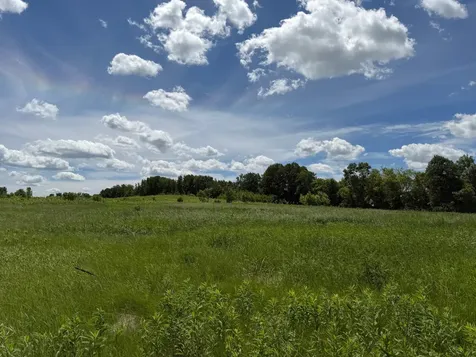 Tbd Co Road 14 Browerville MN 56438
