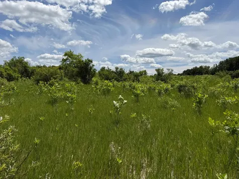 Tbd Co Road 14 Browerville MN 56438