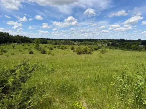Tbd Co Road 14 Browerville MN 56438