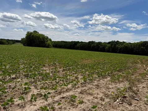 Tbd Co Road 14 Browerville MN 56438