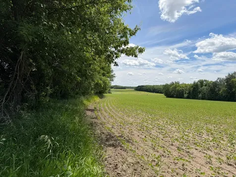 Tbd Co Road 14 Browerville MN 56438