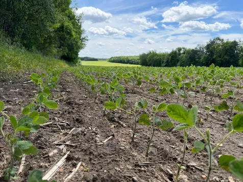 Tbd Co Road 14 Browerville MN 56438