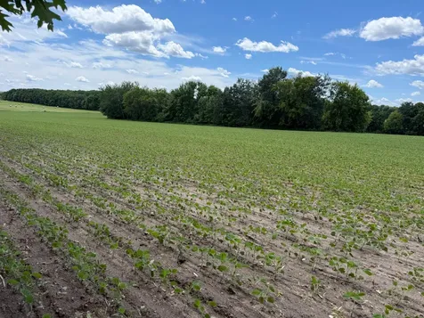Tbd Co Road 14 Browerville MN 56438