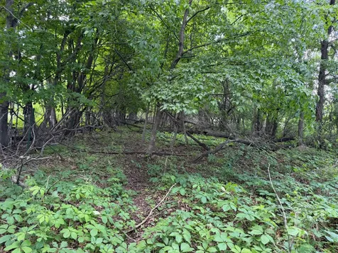 Tbd Co Road 14 Browerville MN 56438