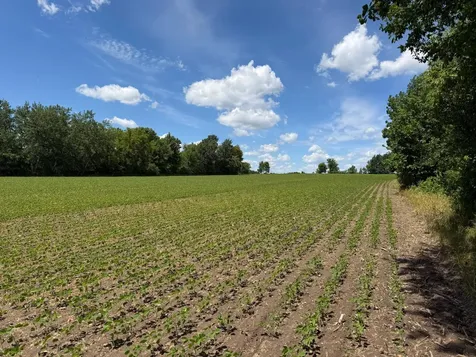 Tbd Co Road 14 Browerville MN 56438