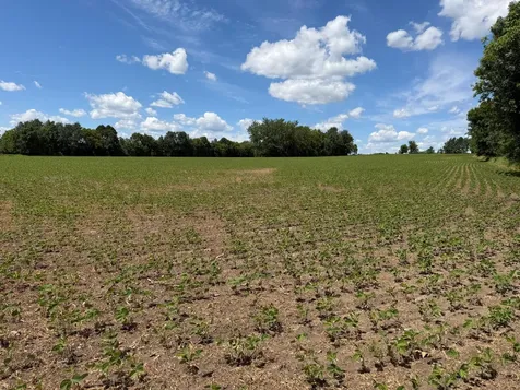 Tbd Co Road 14 Browerville MN 56438