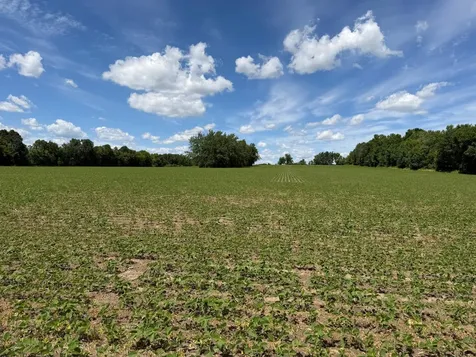 Tbd Co Road 14 Browerville MN 56438