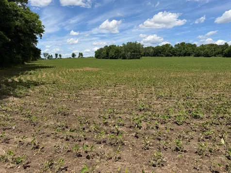Tbd Co Road 14 Browerville MN 56438