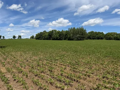 Tbd Co Road 14 Browerville MN 56438