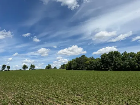 Tbd Co Road 14 Browerville MN 56438