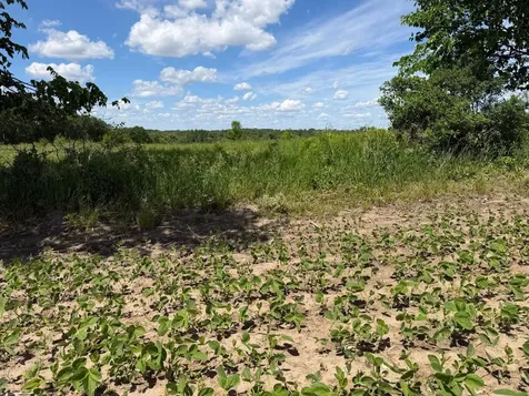 Tbd Co Road 14 Browerville MN 56438