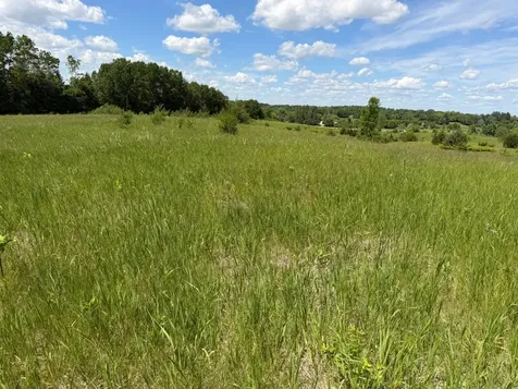 Tbd Co Road 14 Browerville MN 56438