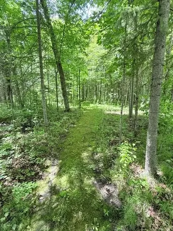24353 Hines Road NE Hines MN 56647