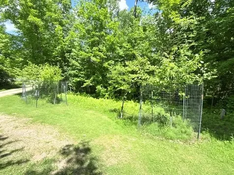 24353 Hines Road NE Hines MN 56647