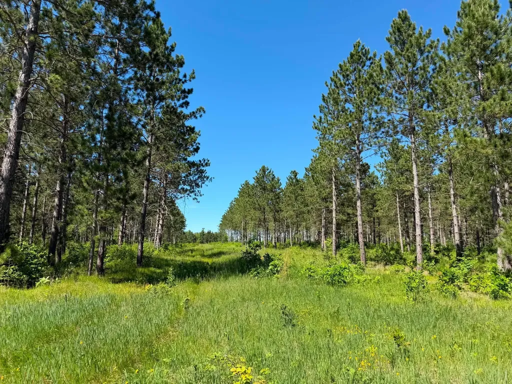 10998 Grange Road NW Bemidji MN 56601